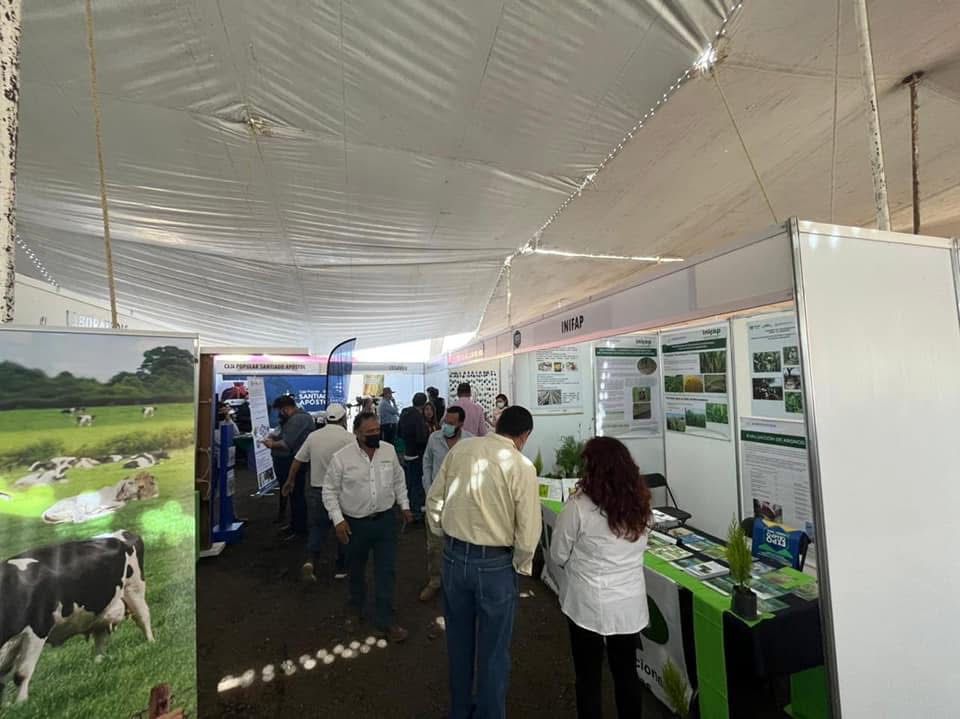 Stand 2
